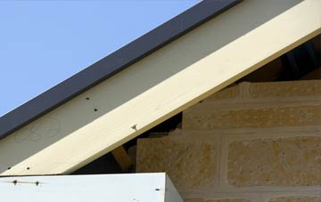Wenhaston Black Heath fascia repairs