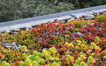 the cost of Wenhaston Black Heath green roof installation