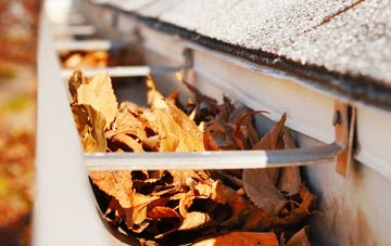 Wenhaston Black Heath gutter cleaning companies