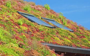 Wenhaston Black Heath living roof systems