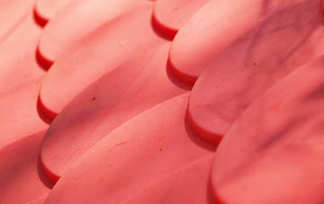 Wenhaston Black Heath plastic roof costs