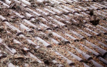 Wenhaston Black Heath roof cleaning companies