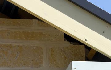 soffit repair Wenhaston Black Heath